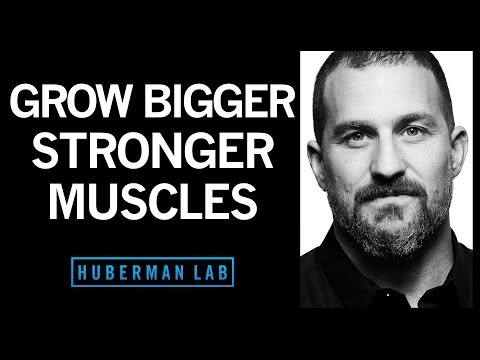Building Muscles